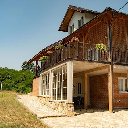 Mitrovic Villa Ljig